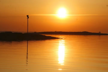 Midnight Sun