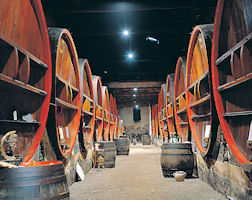 Cognac-Faesser