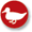 Faszinierende Tierwelt