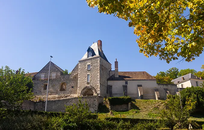 Chateau de Montargis