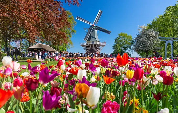 Blumenpracht im Keukenhof