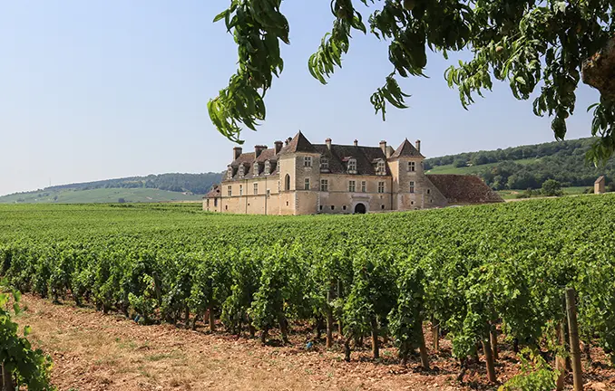 Weingut Clos de Vougeot