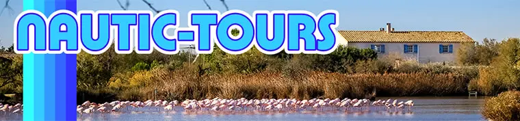 Hausboot-Revier Camargue - Flamingos