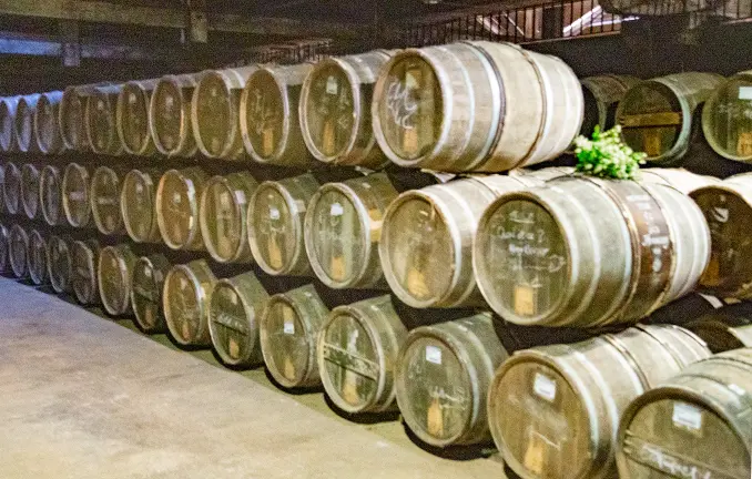 Destillerie-Besichtigung - Cognac Fässer (Anne Mühlhausen - nautic-tours.de) Cognac-Fässer im Keller von Hennessy