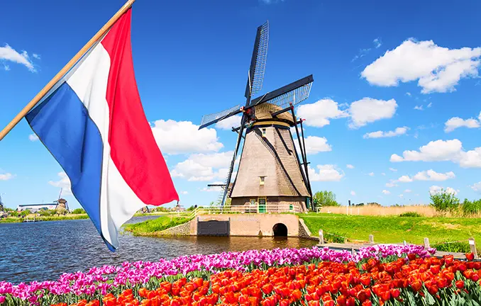 Holland - Windmühle und Tulpen