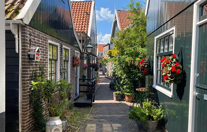 Edam