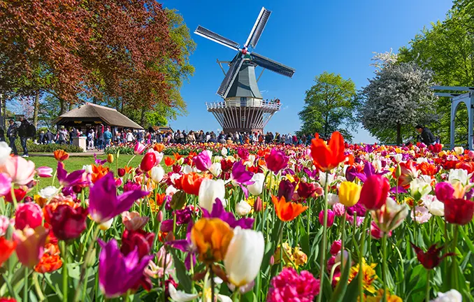 In Lisse und dem Keukenhof in den Niederlanden (©Nikolay N. Antonov - stock.adobe.com) Lisse und der Keukenhof in den Niederlanden