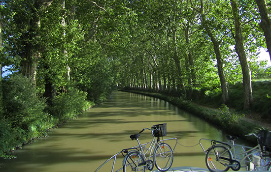 Canal du Midi mit Platanen - Bild vom Juli 2011