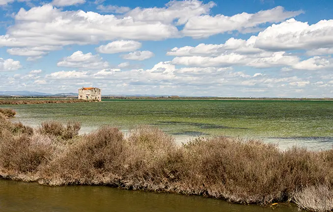 Scenery in der Camargue