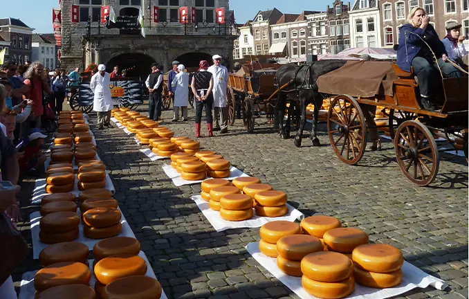 Käse und Holland: Gouda