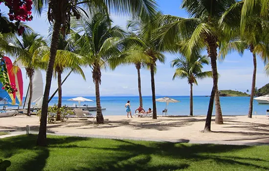 Strand und Palmen in der  Karibik