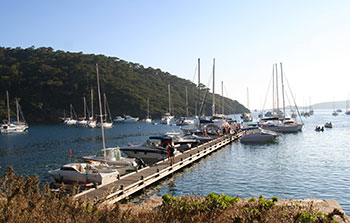 Segeln im Mittelmeer - Hafen von Port Cros