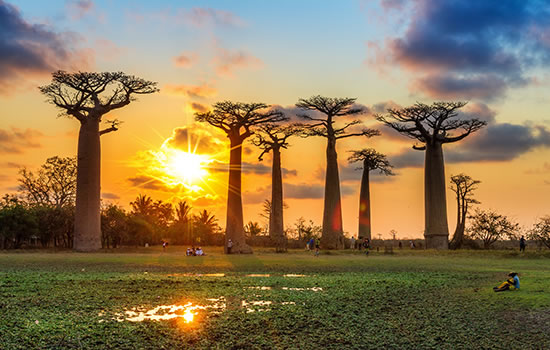 Sonnenuntergang mit Affenbrotbäumen auf Madagaskar