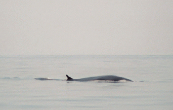 Segeln im Mittelmeer - unterwegs