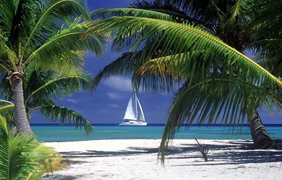 Karibik - Segelyacht, Strand und Palmen