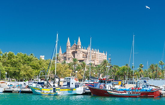 Yachtcharter Mallorca - Kathedrale La Seu in Palma und dem Fischerhafen